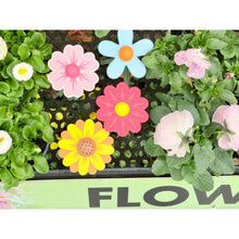 Load image into Gallery viewer, WOODEN FLOWER PRESS TOY
