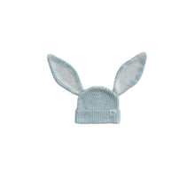 Load image into Gallery viewer, EASTER BEANIE | AERO FLECK
