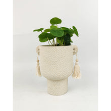 Load image into Gallery viewer, KINSLEY PLANTER - LARGE
