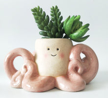 Load image into Gallery viewer, OCTOPUS PLANTER
