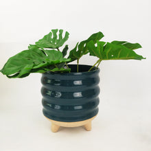 Load image into Gallery viewer, SHELBY PLANTER - TEAL
