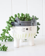 Load image into Gallery viewer, CALLY CAT PLANTER
