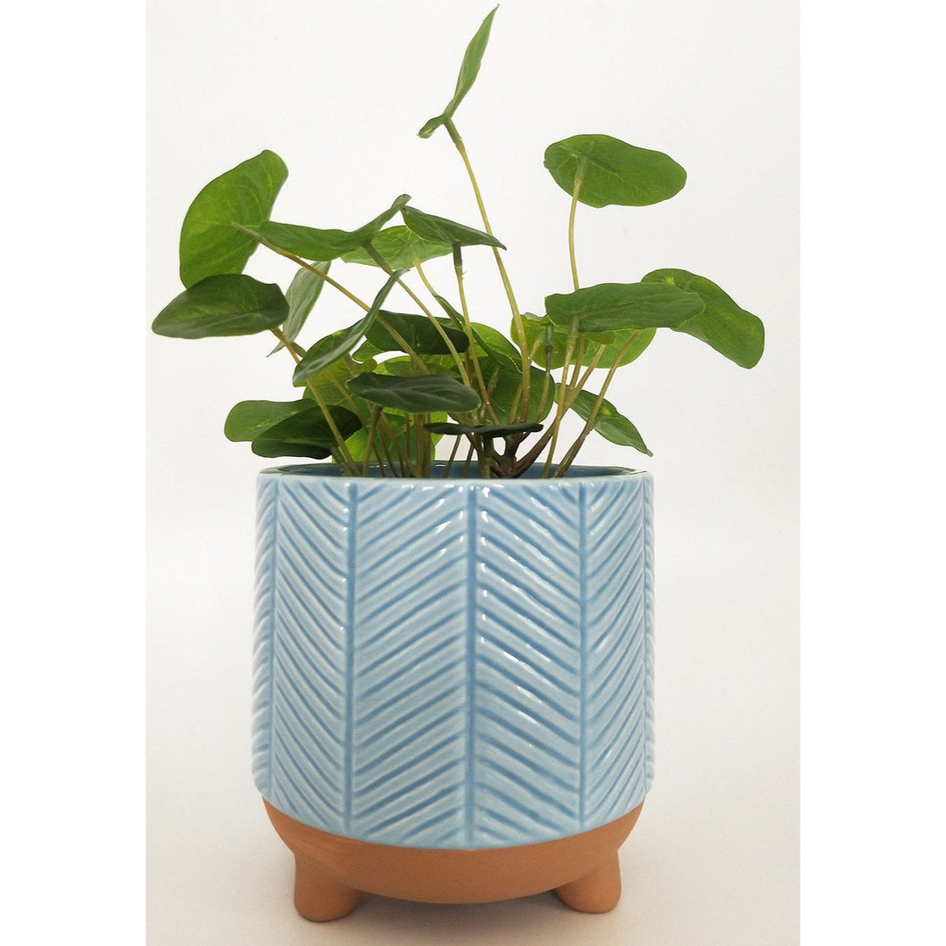 ZARI PLANTER - DUSTY BLUE - SML