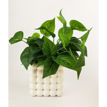 Load image into Gallery viewer, ADDIE BUBBLE PLANTER
