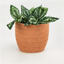 Load image into Gallery viewer, ALANI PLANTER - TERRACOTTA - SMALL
