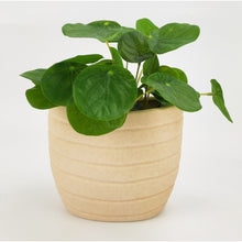 Load image into Gallery viewer, ALANI PLANTER - SAND - SMALL
