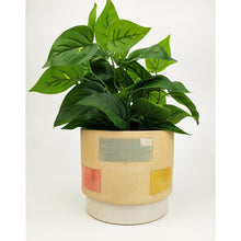 Load image into Gallery viewer, EVIE PLANTER MULTICOLOUR
